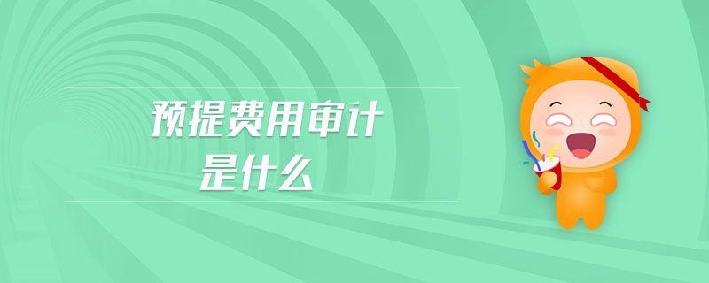 預(yù)提費用審計是什么