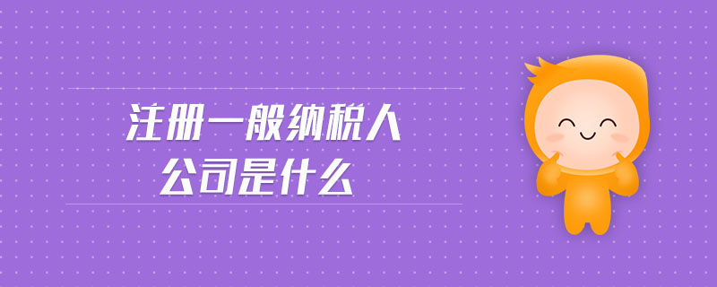 注冊一般納稅人公司是什么
