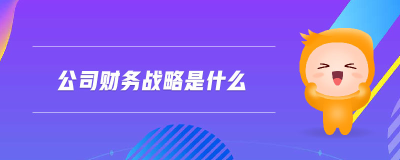 公司財(cái)務(wù)戰(zhàn)略是什么