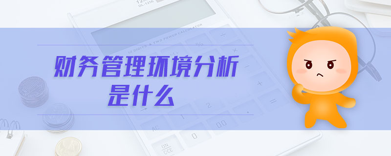 財務(wù)管理環(huán)境分析是什么