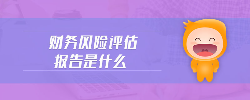 財(cái)務(wù)風(fēng)險(xiǎn)評估報(bào)告是什么
