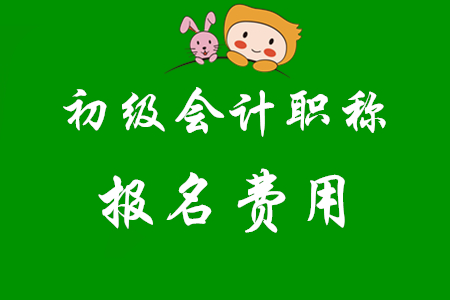 報(bào)名初級(jí)會(huì)計(jì)的報(bào)名費(fèi)有發(fā)票嗎？怎么開？