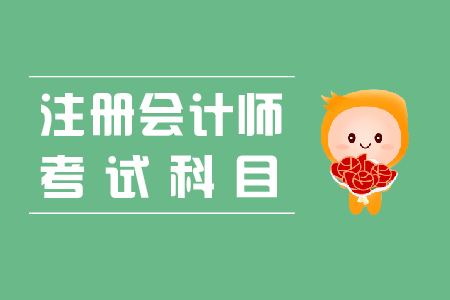 注冊會計師考試專業(yè)階段有哪些科目？