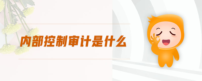 內(nèi)部控制審計是什么