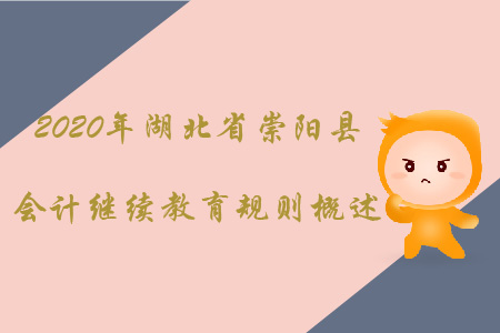 2020年湖北省崇陽縣會(huì)計(jì)繼續(xù)教育規(guī)則概述