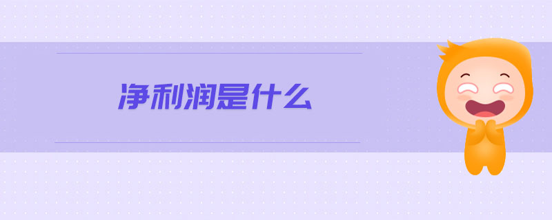 凈利潤是什么