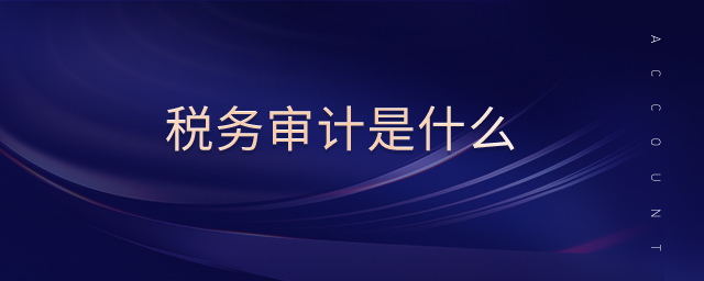 稅務(wù)審計是什么