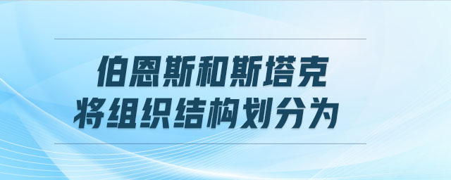 伯恩斯和斯塔克將組織結構劃分為