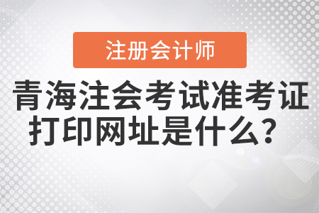 2020年青海注冊(cè)會(huì)計(jì)師考試準(zhǔn)考證打印網(wǎng)址是什么？