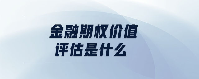 金融期權(quán)價值評估是什么