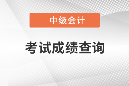 2020年中級(jí)會(huì)計(jì)職稱成績(jī)查詢?nèi)肟? alt=