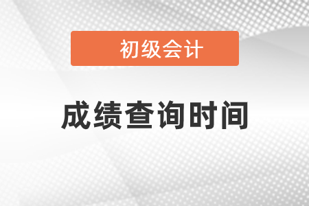 2020年河南省初級會計成績什么時候能查？
