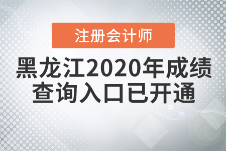 黑龍江2020年注冊(cè)會(huì)計(jì)師成績(jī)查詢?nèi)肟谝验_(kāi)通