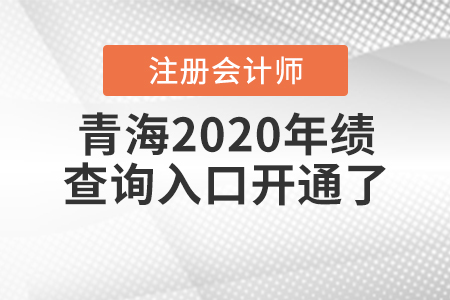 青海2020年注冊(cè)會(huì)計(jì)師成績查詢?nèi)肟陂_通了！