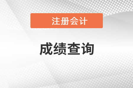 遼寧省本溪注會成績查詢網(wǎng)址