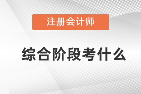 注冊會計師綜合階段考什么？