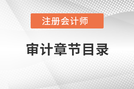注冊(cè)會(huì)計(jì)師審計(jì)章節(jié)目錄
