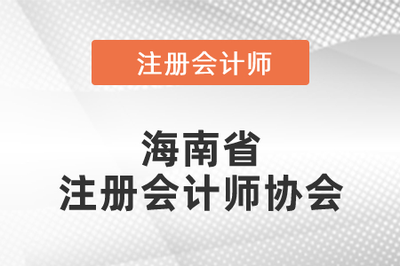 海南省注冊(cè)會(huì)計(jì)師協(xié)會(huì)