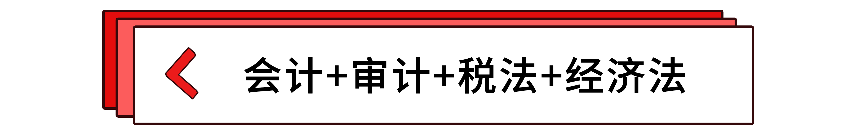 會計+審計+稅法+經(jīng)濟法