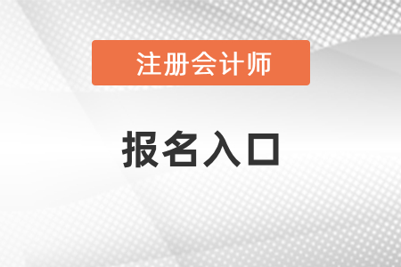 2021年注冊會計(jì)師考試報(bào)名入口