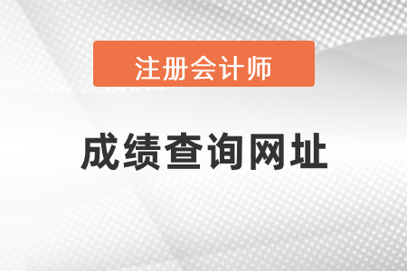 中國注冊會計師成績查詢網址