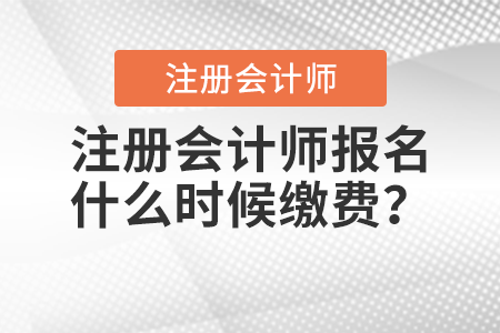 注冊會計師報名什么時候繳費？
