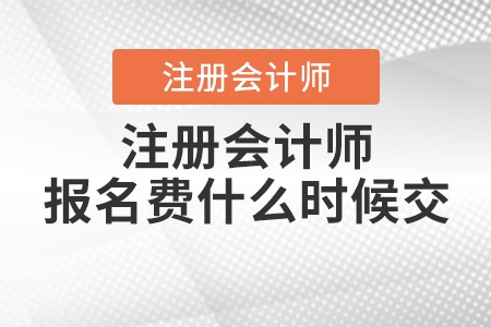 注冊會計師報名費什么時候交