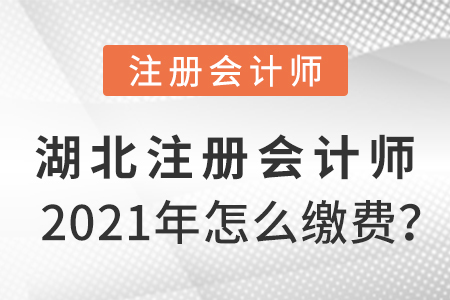 湖北2021年注冊(cè)會(huì)計(jì)師怎么繳費(fèi)？
