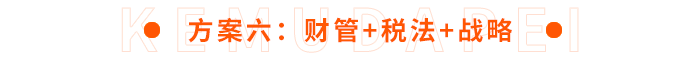 方案六：財(cái)管+稅法+戰(zhàn)略