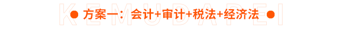 方案一：會計+審計+稅法+經(jīng)濟(jì)法