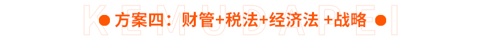 方案四：財管+稅法+經(jīng)濟(jì)法+戰(zhàn)略