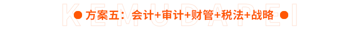 方案五：會計+審計+財管+稅法+戰(zhàn)略