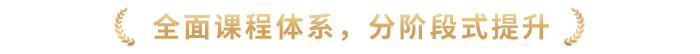全面課程體系，分階段式提升