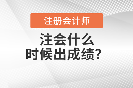 注會(huì)什么時(shí)候出成績(jī)？