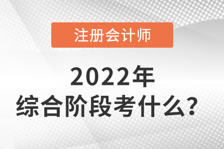 湖北省武漢cpa綜合階段考什么內(nèi)容？