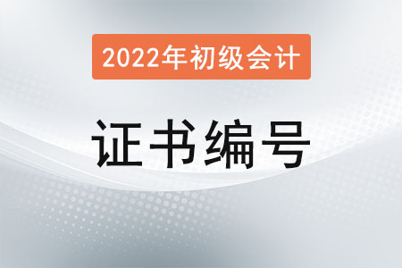 初級會計(jì)資格證書編號是哪個？