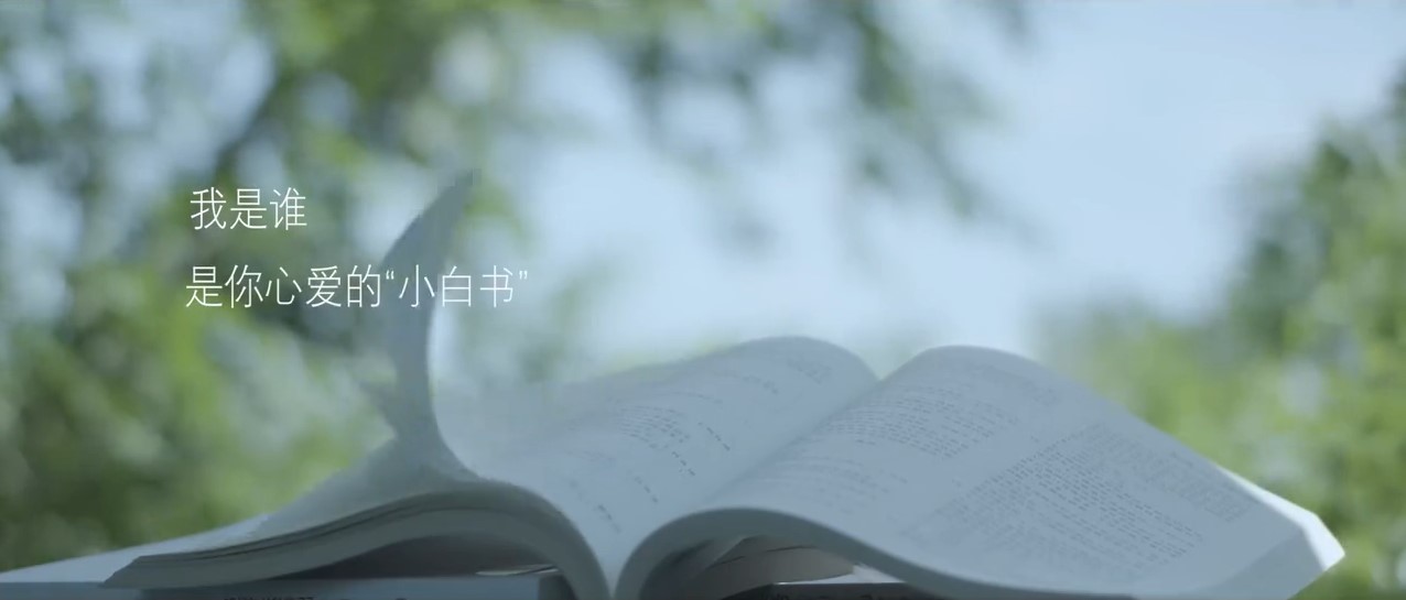 初級會計(jì)輕一教材