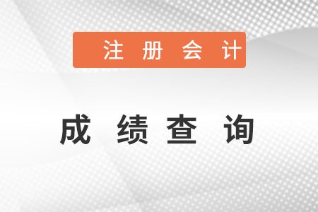 注冊(cè)會(huì)計(jì)成績(jī)查詢(xún)