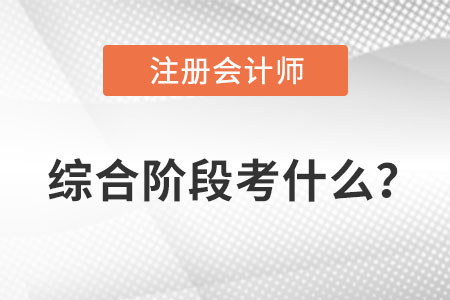 注會綜合階段考試考什么？