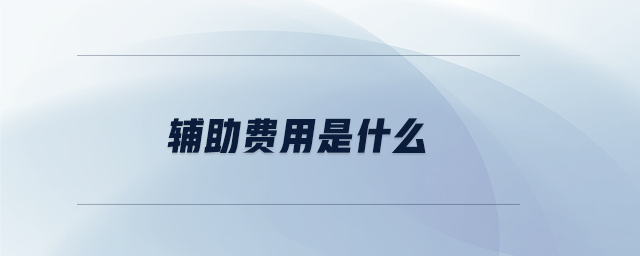 輔助費用是什么