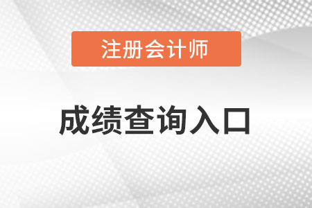青海cpa成績(jī)查詢(xún)?nèi)肟谑窃谀睦铮? alt=