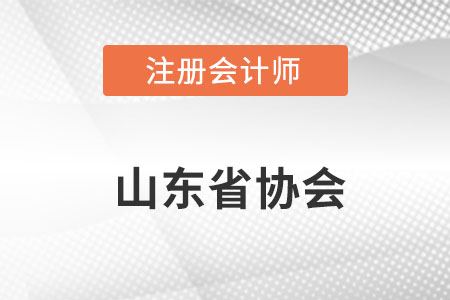 山東注冊會計師協(xié)會網(wǎng)址是什么？