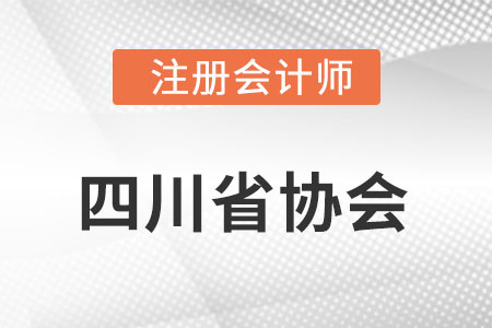 四川省注冊會計(jì)師協(xié)會網(wǎng)址是什么?