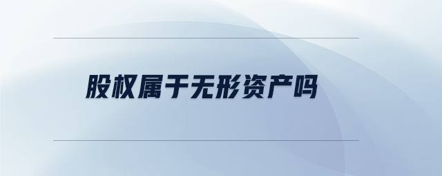 股權(quán)屬于無形資產(chǎn)嗎