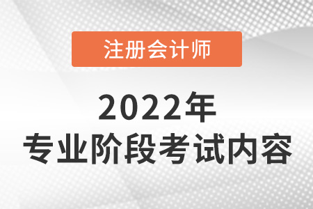2022年注冊(cè)會(huì)計(jì)師專業(yè)階段考什么？