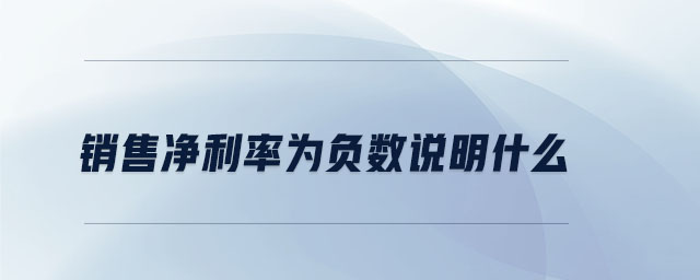 銷售凈利率為負(fù)數(shù)說明什么