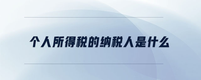 個(gè)人所得稅的納稅人是什么