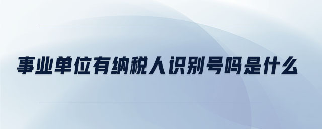 事業(yè)單位有納稅人識(shí)別號(hào)嗎是什么