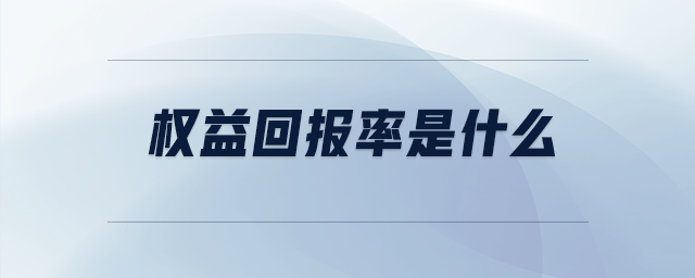 權(quán)益回報(bào)率是什么