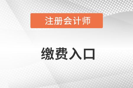 2022cpa考試?yán)U費入口在哪里？
